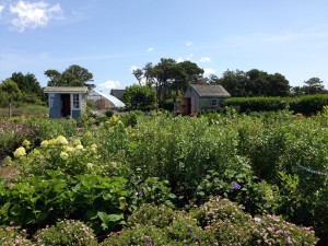 Nurseries are Gardens too!