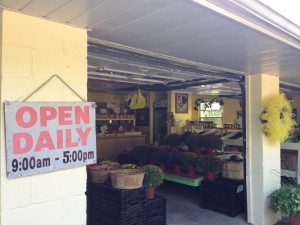 Farmstands that speak to the seasons