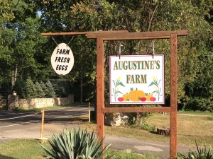 Augustine's Farm