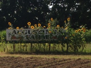 Augustine's Farm in Connecticut…simply the best!