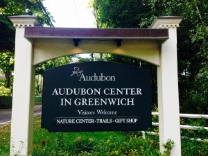 The Audubon Center nestled in the northern corner of Greenwich, Ct.