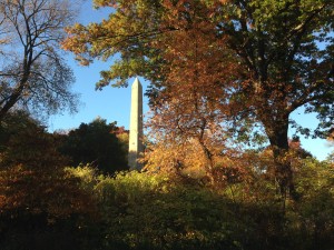 Summer passes the baton to Autumn as the seasons change