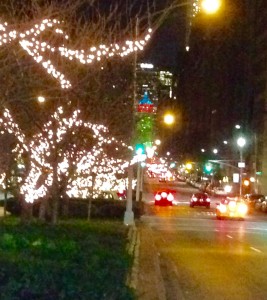 Park Avenue Lights