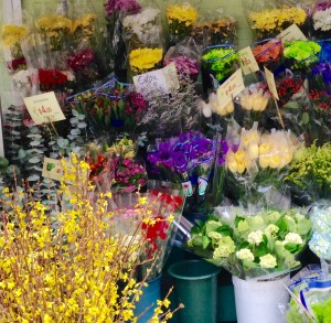 The city flower stalls display spring flowers with cheer!