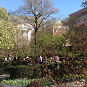 Conservatory Garden